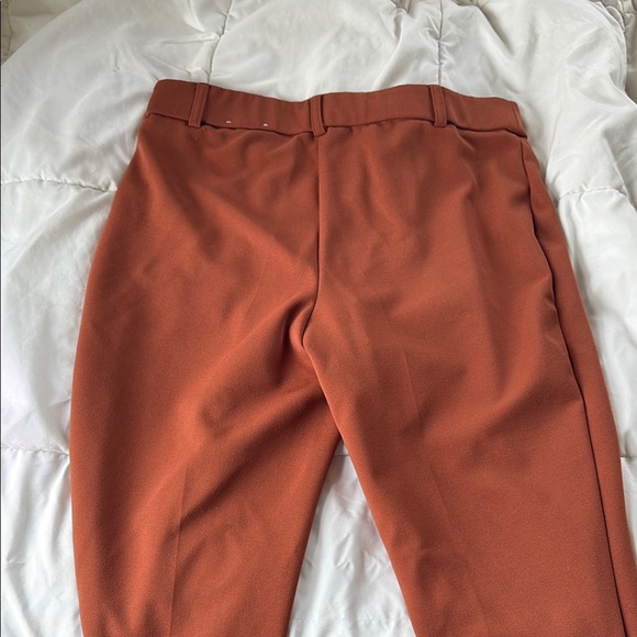 Chic Rust Trousers - Picture 3 of 4